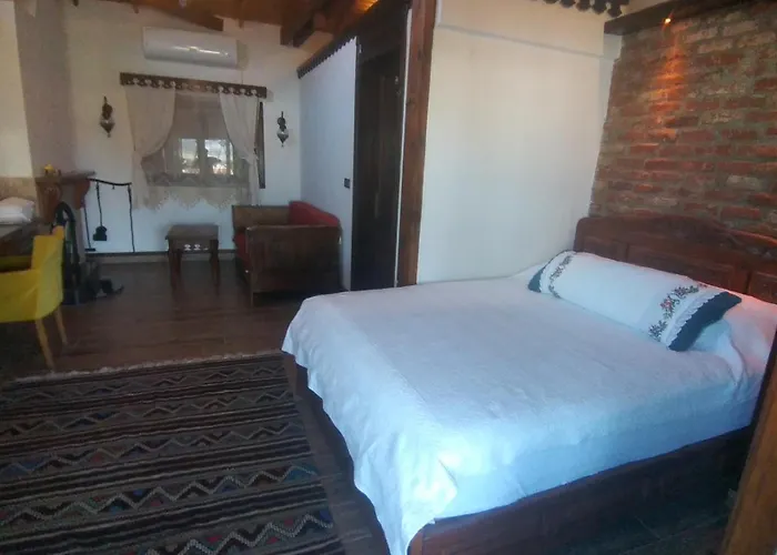 Ephesus Castle View * סלצ'וק