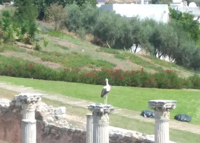 דירה Ephesus Castle View *