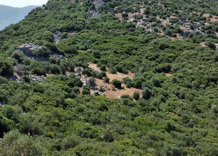 Ephesus Castle View סלצ'וק