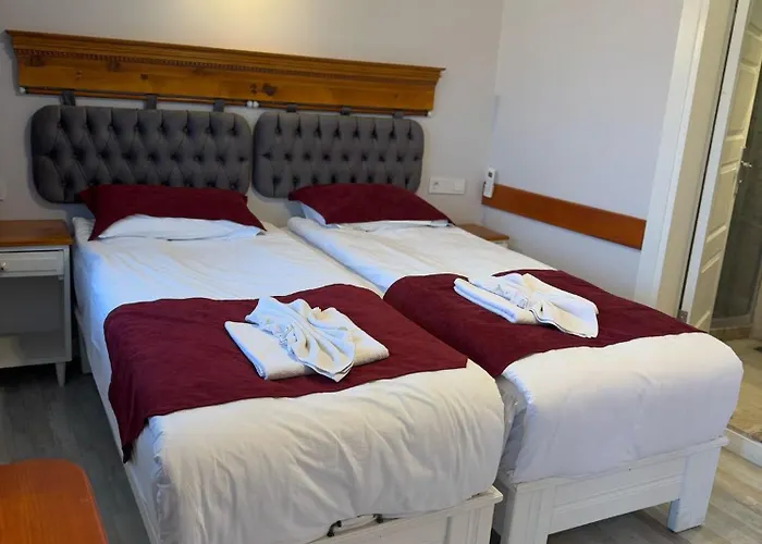 Ephesus Castle View * סלצ'וק