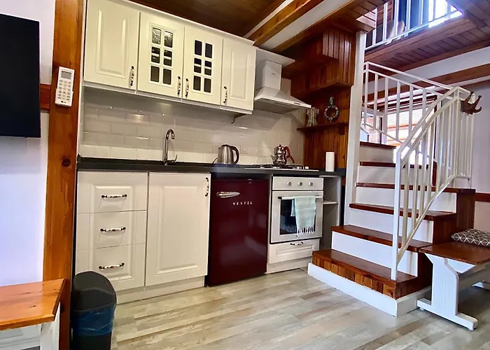 Ephesus Castle View * סלצ'וק