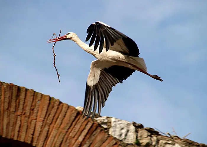 Ephesus Castle View * סלצ'וק