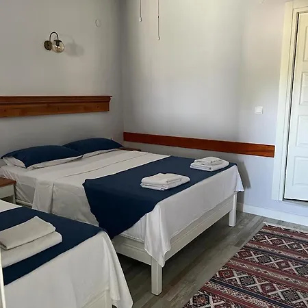 Ephesus Castle View Apartment Selcuk