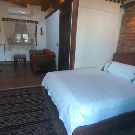 Ephesus Castle View * Σελτσούκ