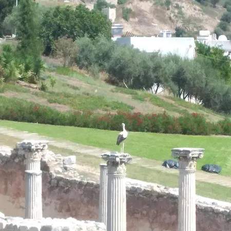 アパート Ephesus Castle View *
