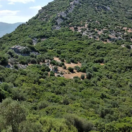 Ephesus Castle View セルチュク