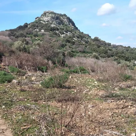 Ephesus Castle View アパート *