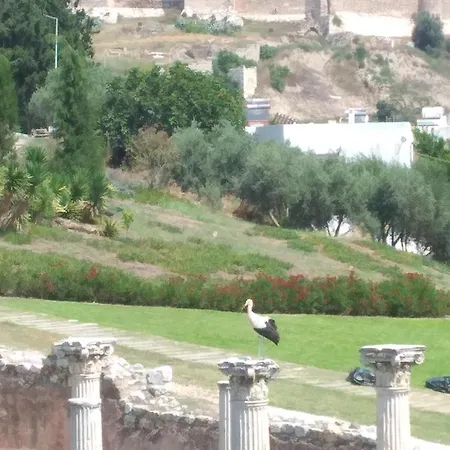 Ephesus Castle View