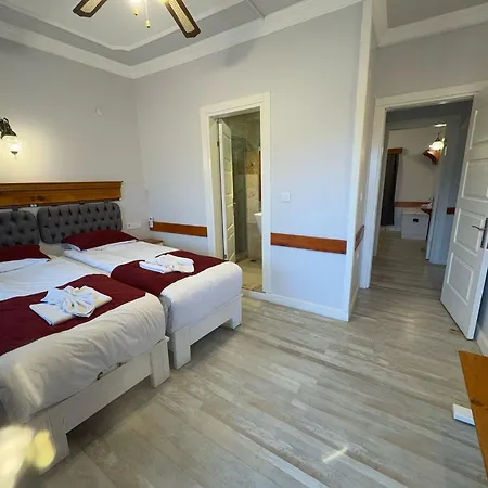 Ephesus Castle View *