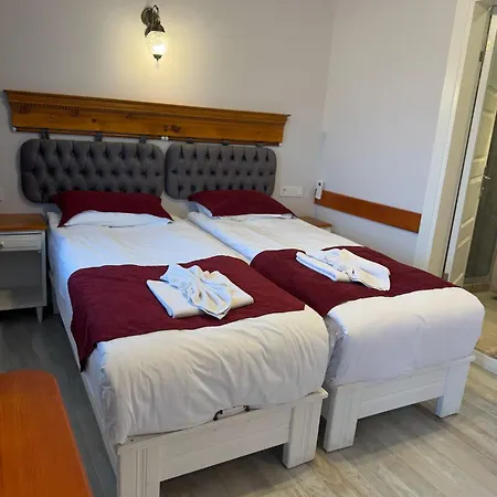 Ephesus Castle View * セルチュク