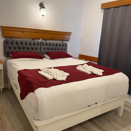 Ephesus Castle View * Σελτσούκ