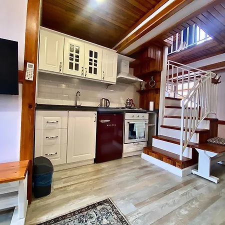 Ephesus Castle View * セルチュク