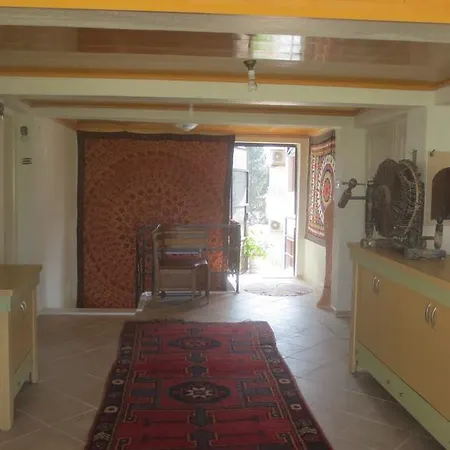 Ephesus Castle View アパート セルチュク