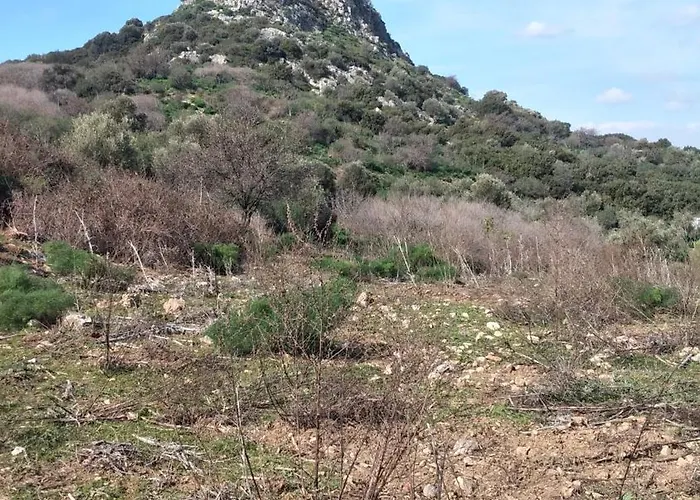 Ephesus Castle View 아파트 *