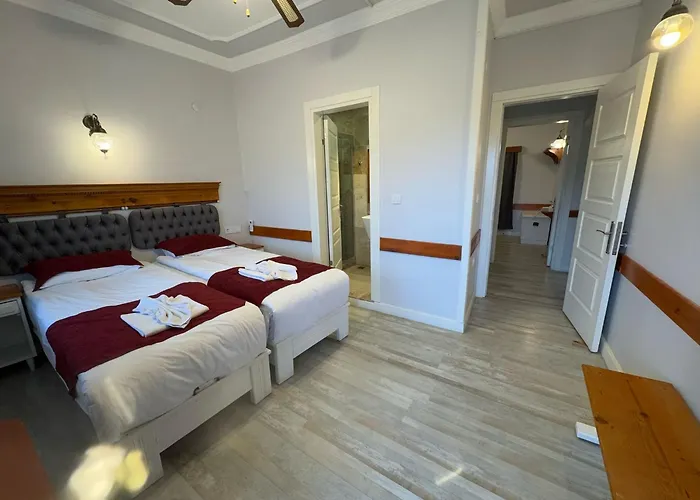 Ephesus Castle View *