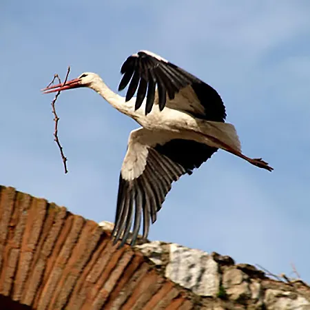 Ephesus Castle View * Selçuk